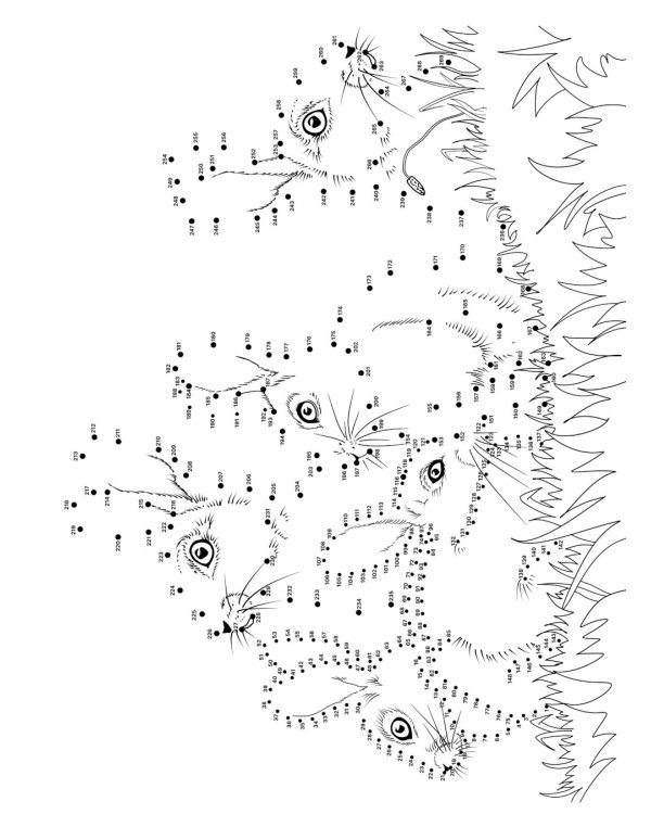 Животные. Рисуем по точкам