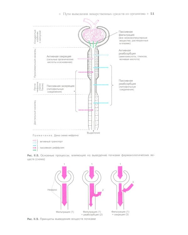 Фармакология: Учебник. 13-е изд., перераб