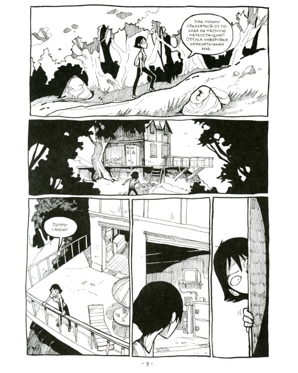 Птичий остров