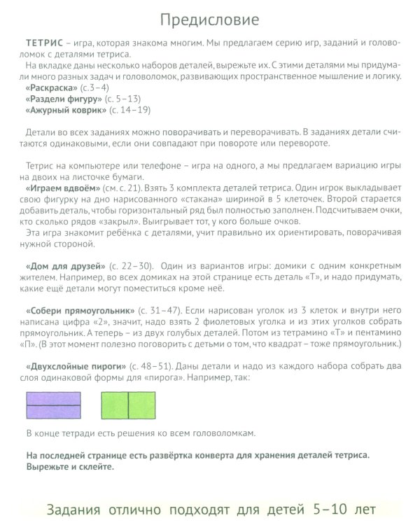 Мышкин тетрис. Увлекательные задачи для детей 5–10 лет