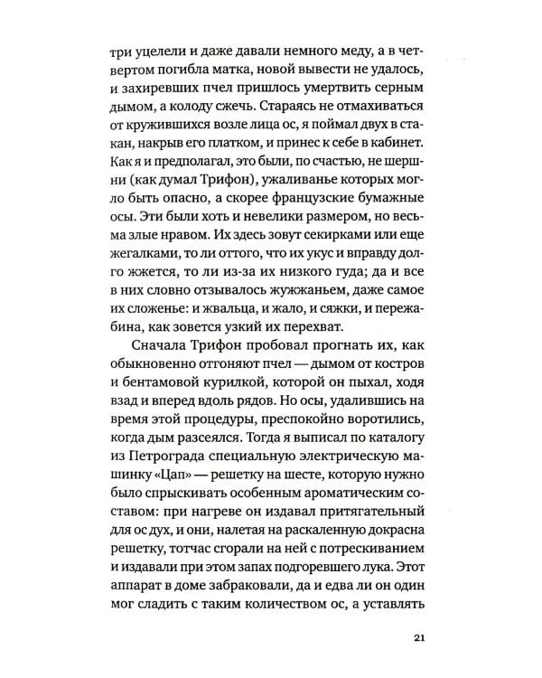 Полупрозрачный палимпсест: рассказы, эссе и заметки