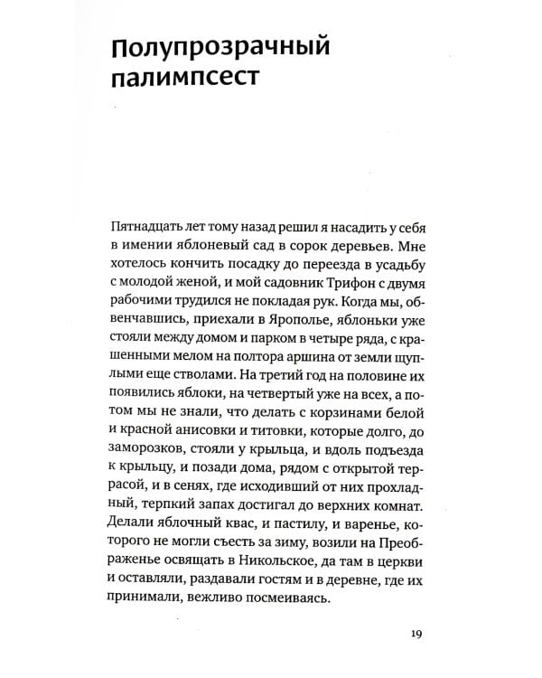 Полупрозрачный палимпсест: рассказы, эссе и заметки