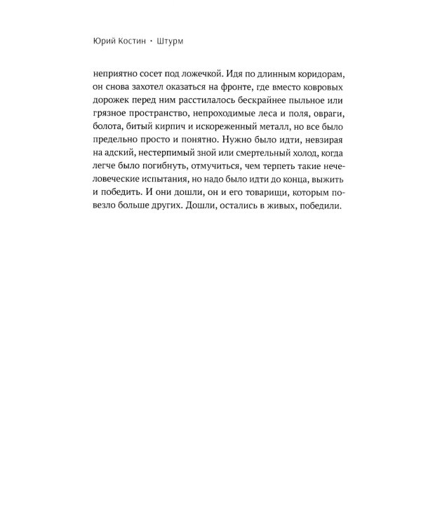 Штурм: повесть