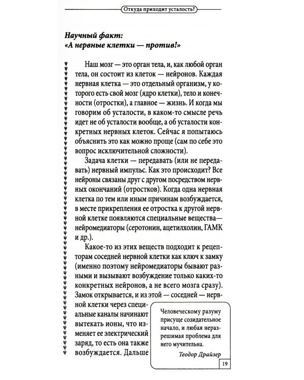Как избавиться от переутомления. Универсальные правила