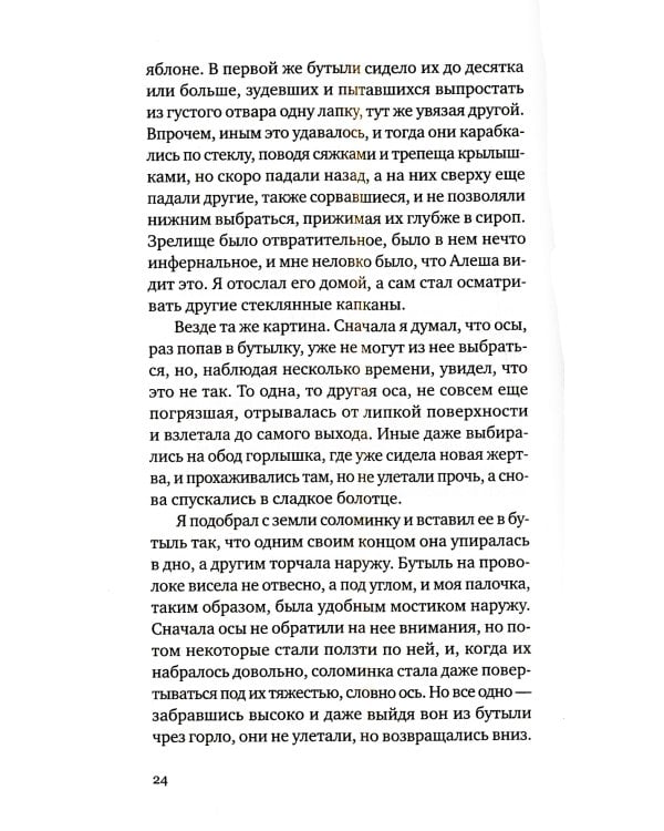 Полупрозрачный палимпсест: рассказы, эссе и заметки