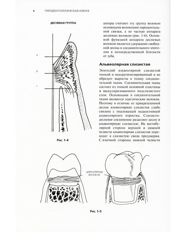 Пародонтологическая Азбука. 4-е изд