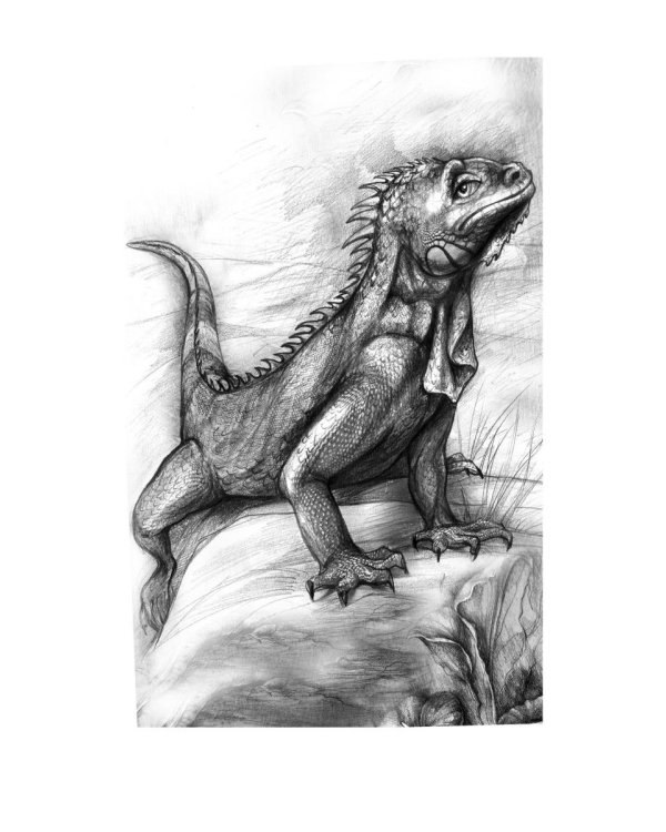 Записки фаворитки. Его Высочества