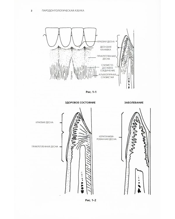 Пародонтологическая Азбука. 4-е изд