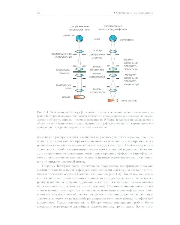 Методы оптической и электронной микроскопии: Учебник