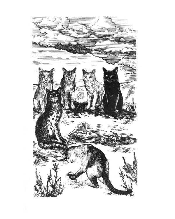 Коты-воители. Испытание Грача. Кн. 1. Тени прошлого