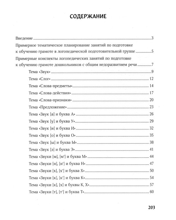 Конспекты логопедических занятий: обучение грамоте детей с недоразвитием речи. 5-е изд