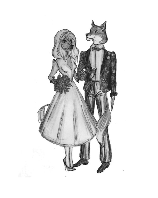 Туманный лисий мех