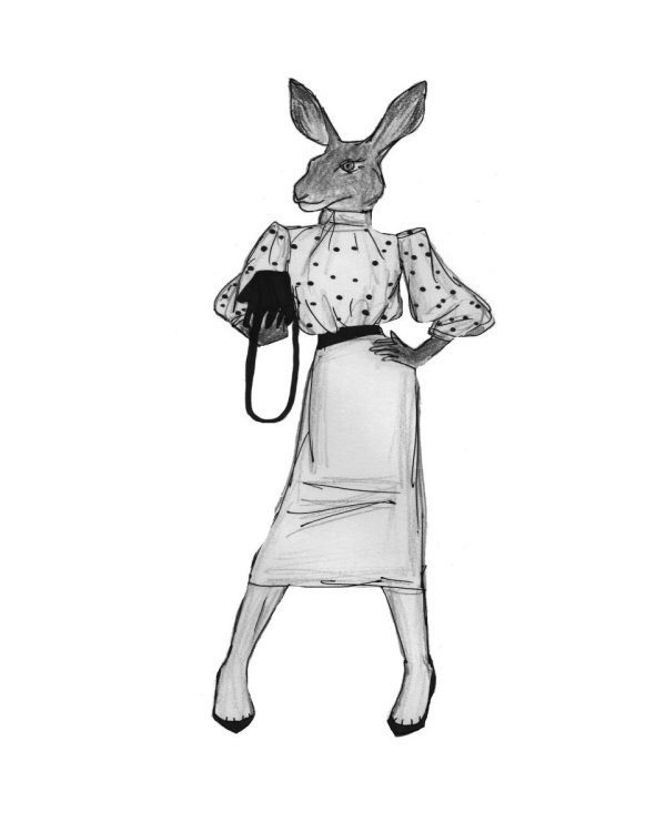 Туманный лисий мех