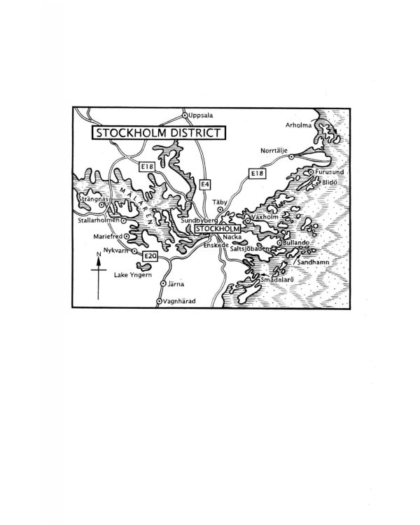 The Girl Who Kicked the Hornets' Nest