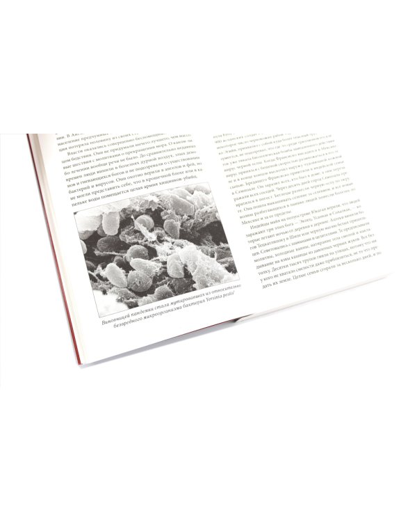 Sapiens; Нomo Deus; 21 урок для XXI века (комплект из 3-х книг)