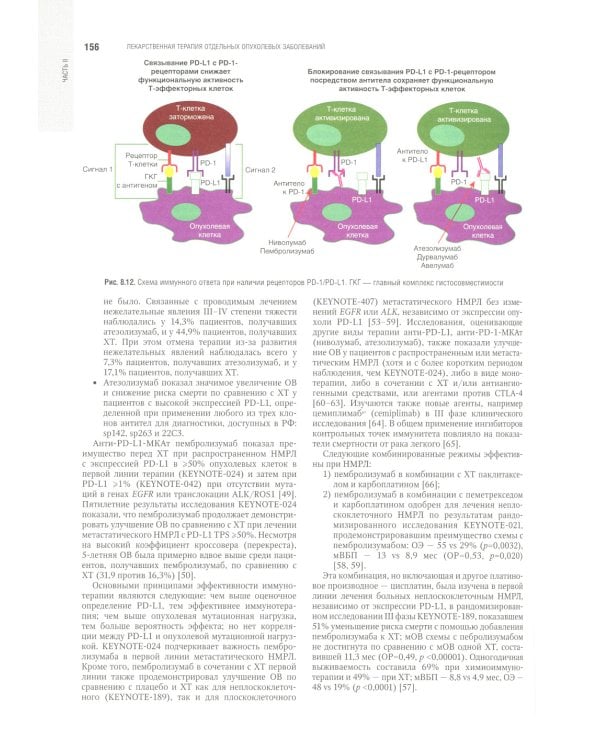 Противоопухолевая лекарственная терапия. Национальное руководство