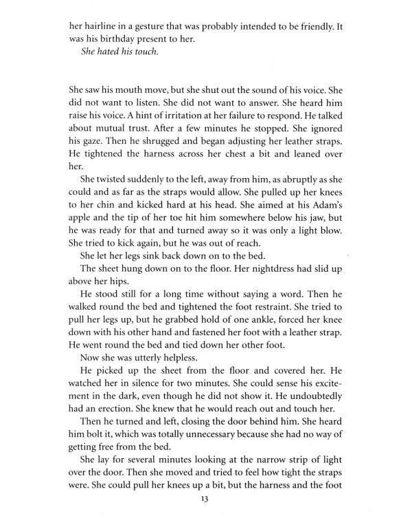 The Girl Who Kicked the Hornets' Nest