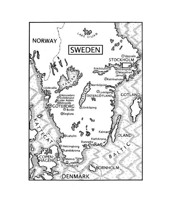 The Girl Who Kicked the Hornets' Nest