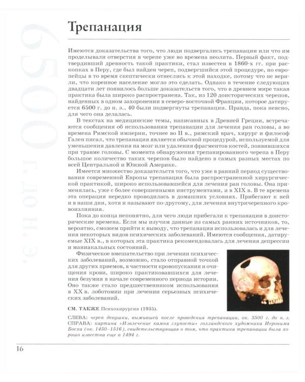 Великая психология. От шаманизма до современной неврологии. 250 основных вех в истории психологии