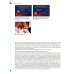 Патология полости рта и челюстно-лицевой области в практике стоматолога