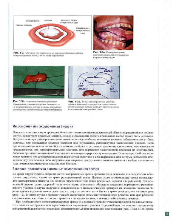 Патология полости рта и челюстно-лицевой области в практике стоматолога