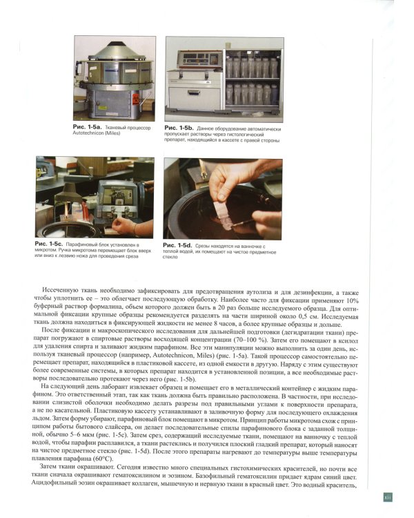 Патология полости рта и челюстно-лицевой области в практике стоматолога