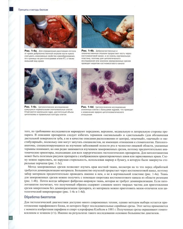 Патология полости рта и челюстно-лицевой области в практике стоматолога