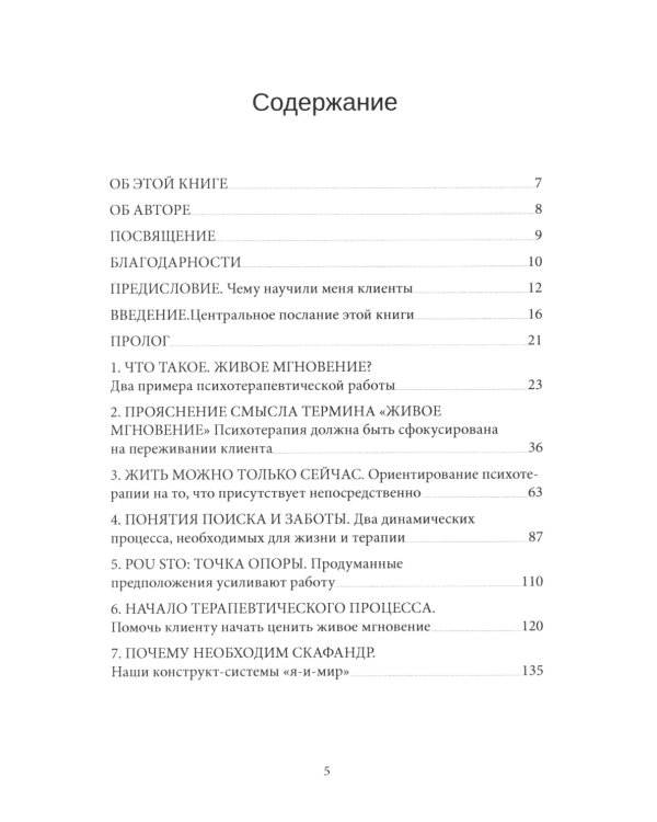 Психотерапия - это не то, что вы думаете. Психотерапевтическое взаимодействие в живом мгновении