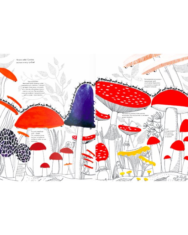 Тысяча и один муравей