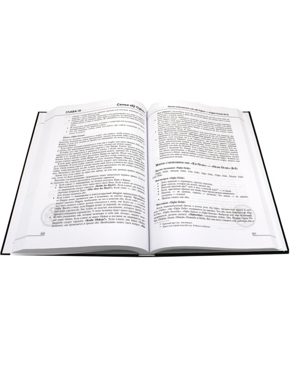 Дилоггун. Голос древнейших богов Вуду. Т. 2