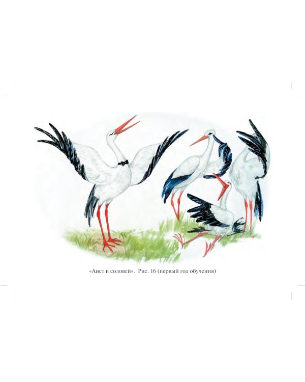 Развитие речевой и коммуникативной деятельности у старших дошкольников (5-7 лет): конспекты с иллюстративным материалом