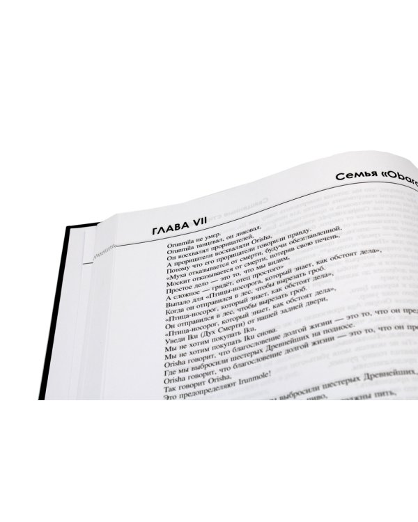 Дилоггун. Голос древнейших богов Вуду. Т. 2