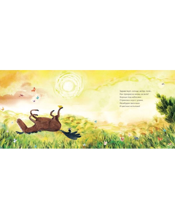 Приключения лошадки Куки