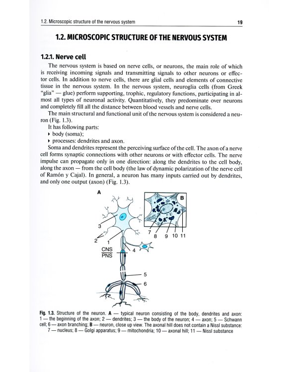Neurology and neurosurgery. Volume 1. Neurology