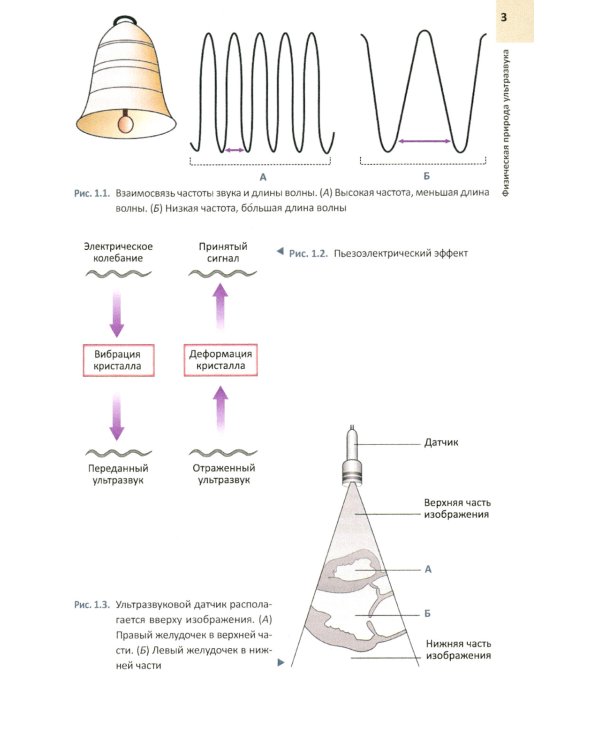 Руководство по электрокардиографии + ЭхоКГ понятным языком (комплект из 2-х книг)