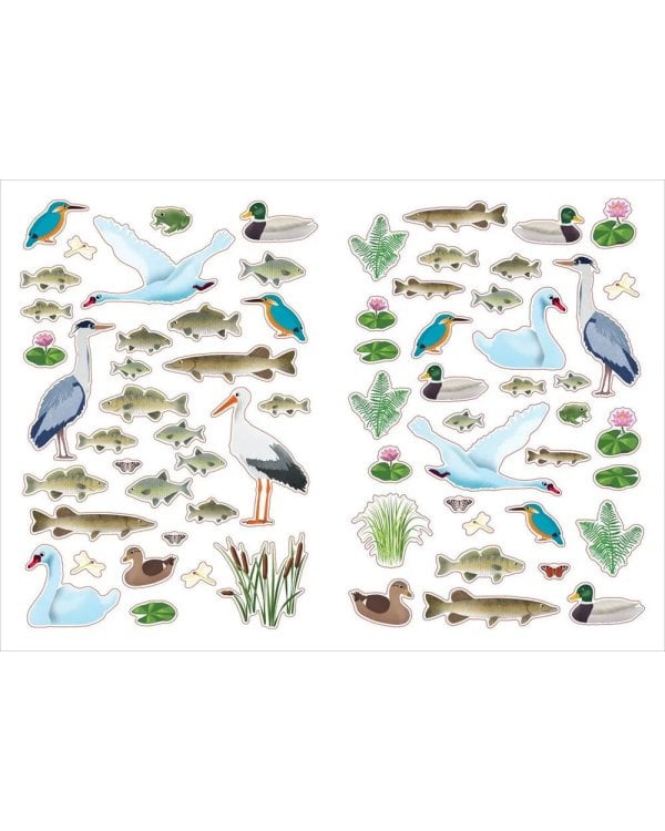 Моя книга наклеек. Природа (более 300 наклеек)