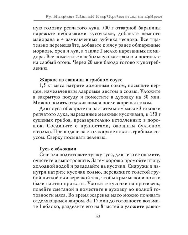 Весёлый отдых на природе