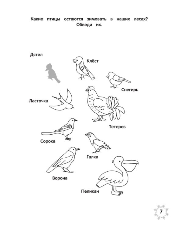 Загадки зимушки-зимы + наклейки