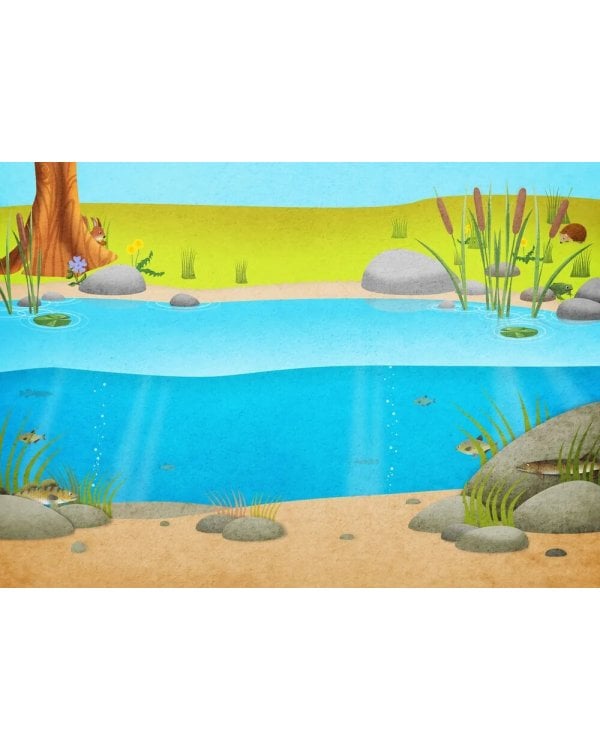 Моя книга наклеек. Природа (более 300 наклеек)