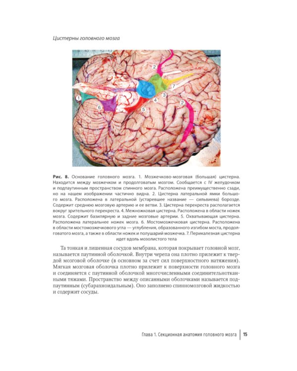 Судебная невропатология. Черепно-мозговая и спинальная травмы: руководство для врачей