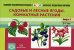 Картотека предметных картинок. Вып. 6. Садовые и лесные ягоды. Комнатные растения. 3-7 лет