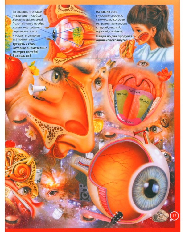 Анатомия для детей. Как устроено твое тело; Анатомия человека. Книга для мальчиков и девочек (комплект из 2-х книг)