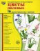 Демонстрационные картинки "Цветы полевые" (173х220 мм)