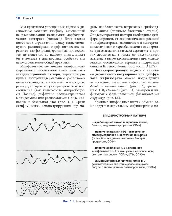Лимфопролиферативные заболевания кожи. Клиника и диагностика