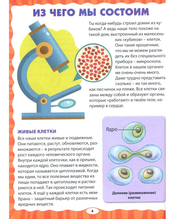 Анатомия для детей. Как устроено твое тело; Анатомия человека. Книга для мальчиков и девочек (комплект из 2-х книг)