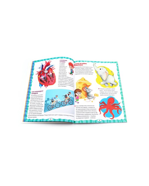 Анатомия для детей. Как устроено твое тело; Анатомия человека. Книга для мальчиков и девочек (комплект из 2-х книг)