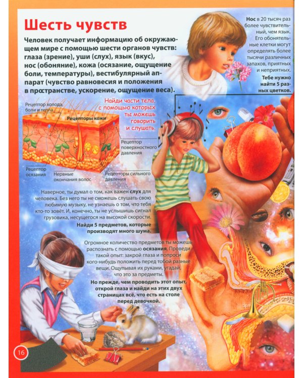 Анатомия для детей. Как устроено твое тело; Анатомия человека. Книга для мальчиков и девочек (комплект из 2-х книг)