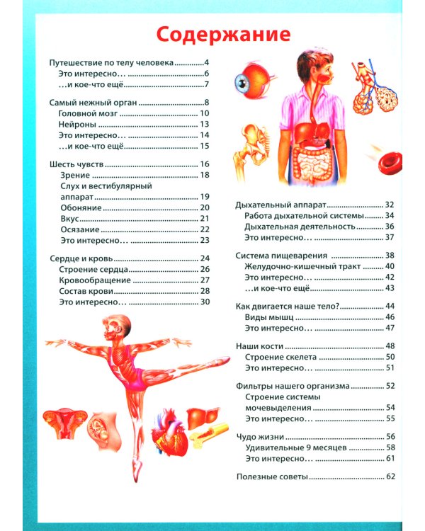 Анатомия для детей. Как устроено твое тело; Анатомия человека. Книга для мальчиков и девочек (комплект из 2-х книг)
