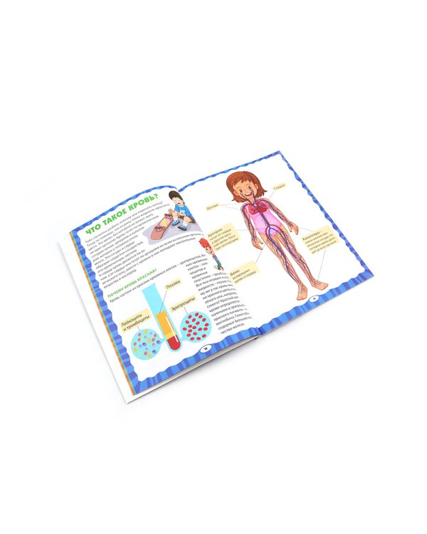 Анатомия для детей. Как устроено твое тело; Анатомия человека. Книга для мальчиков и девочек (комплект из 2-х книг)