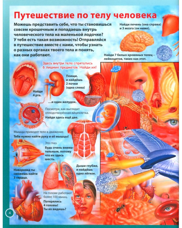 Анатомия для детей. Как устроено твое тело; Анатомия человека. Книга для мальчиков и девочек (комплект из 2-х книг)